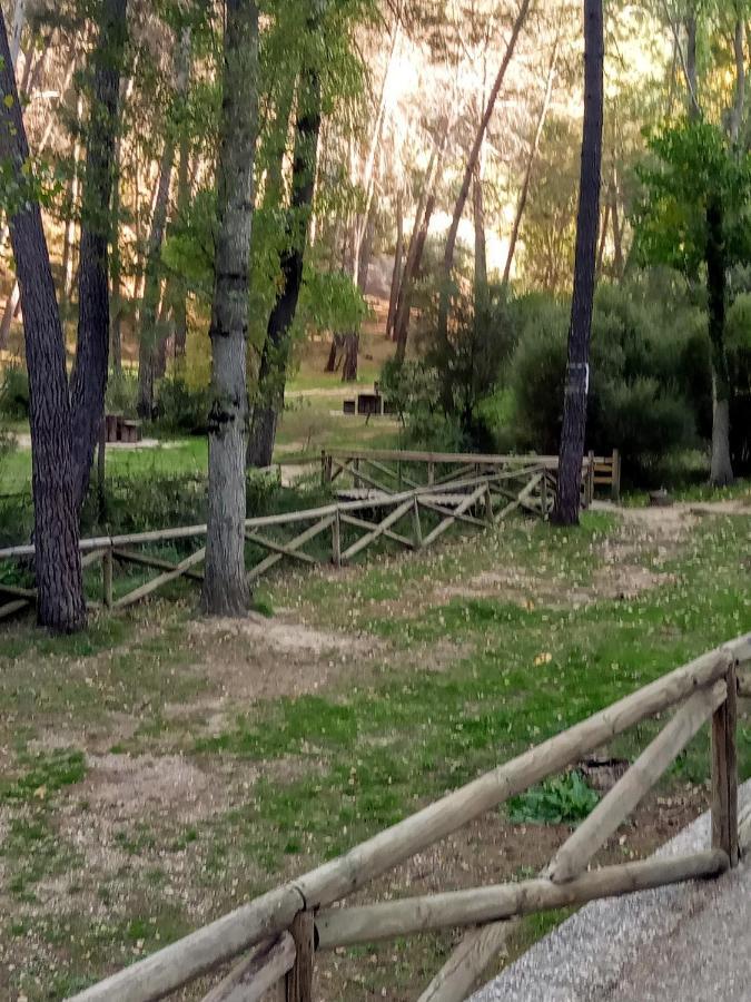 Casa Pinos Pensionat Siles Exteriör bild